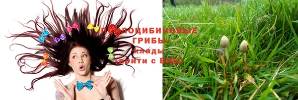 метадон Алексеевка