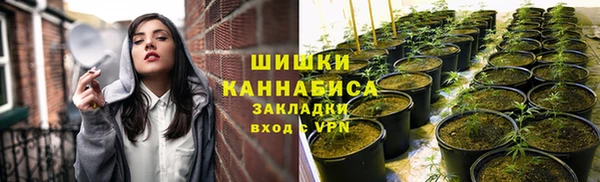 метадон Алексеевка